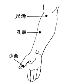 图7-3-1尺泽,孔最,少商