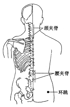 腰和背的正确位置图图片