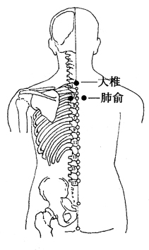 图2-1-2大椎、肺俞
