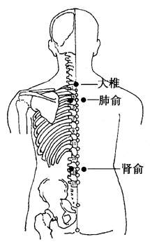 ͼ2-3-5׵ᡢ