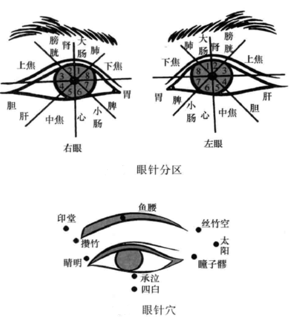 视区的针灸定位及图片图片
