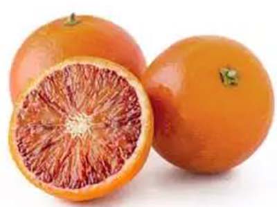 柑橘 種類